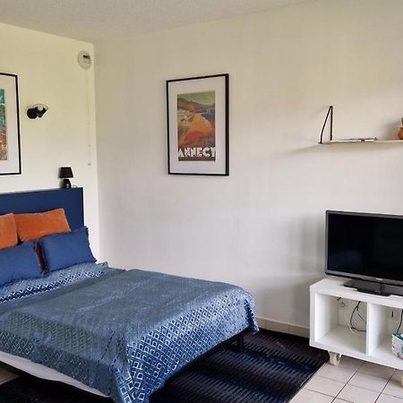 Magnifique Vue Montage Studio Parking Gratuit Apartment Annecy Exterior foto